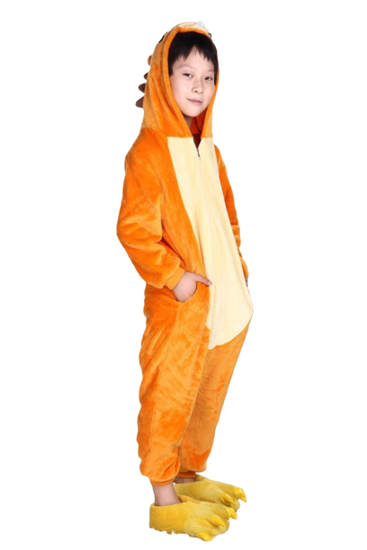 kigurumi roi lion enfant